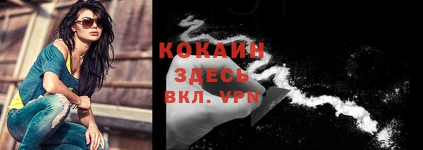 твердый Козельск