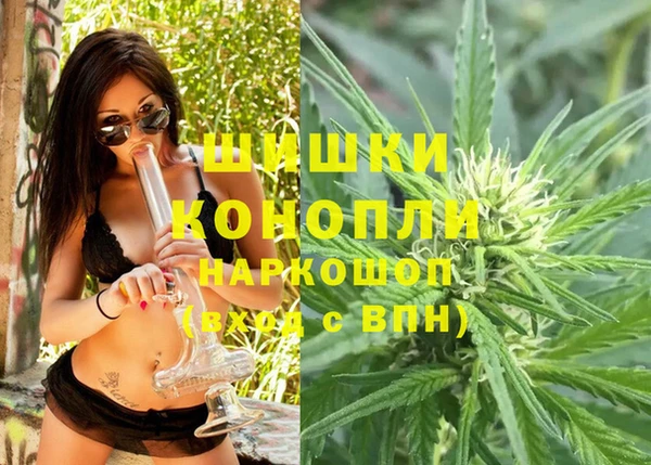 твердый Козельск