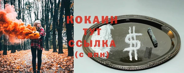 дживик Кинешма