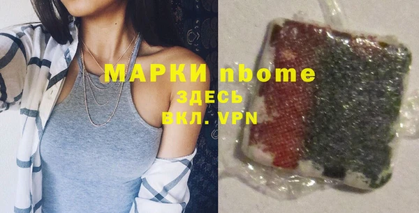 твердый Козельск