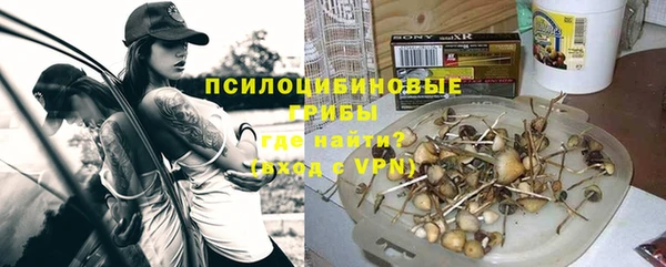 твердый Козельск