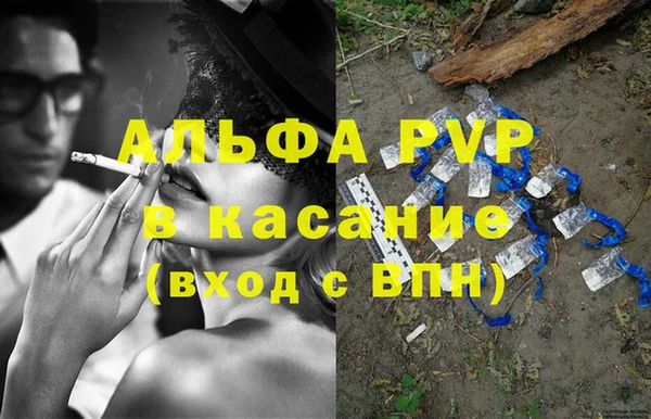 твердый Козельск