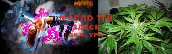 твердый Козельск