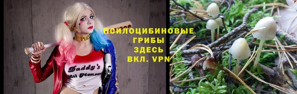 а пвп мука Козловка